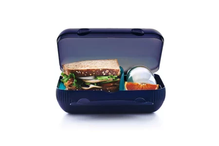 Everyday Lunch Box