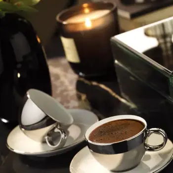 Kütahya Porcelain Zeugma 4-Piece Platinum Coffee Cup Set