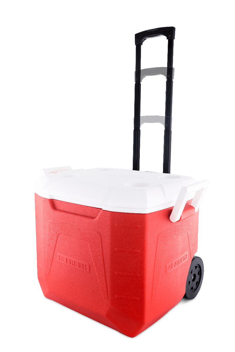 Fresh Ice Box 48 Liters 4umart