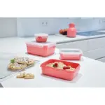 Tefal Masterseal Color Fresh Box, 4 Pieces ,Pink ,N1012610