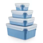 Tefal Masterseal Color Fresh Box, 4 Pieces, Size ( 0.20 – 0.55 – 0.80 – 2.20 ) L, Blue – N1012610-3