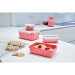 Tefal Masterseal Color Fresh Box, 4 Pieces, Size ( 0.20 – 0.55 – 0.80 – 2.20 ) L, Pink – N1012610-4