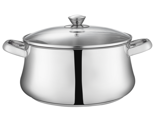 Zahran Stainless Steel Classic Stewpot With Glass Lid ,22cm ,330030022