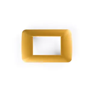 3M plate with mounting frame Gold